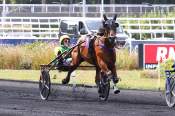 La photo de Must De Villard 