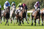 La photo de Lady Luck