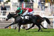 La photo de Lord Raffles