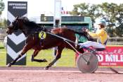 La photo de Horus De Val arrivée pmu Prix de l'Atam à Angers