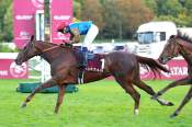 La photo de First Look arrivée pmu Prix Dollar (Gr.2) à Longchamp
