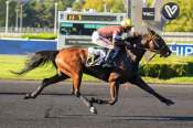 La photo de Korinto Bello arrivée pmu Prix Antiope à Vincennes