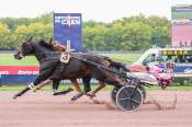 La photo de Leonardo Du Derby arrivée pmu Prix de Blainville sur Orne à Caen