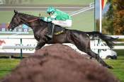 La photo de Metronomique arrivée pmu Prix Vatelys (L) hippodrome de Compiègne