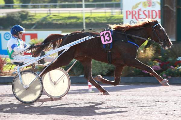 Photo de LA BAULE HAUFOR cheval de TROT ATTELE