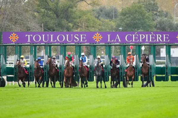 La photo de Toulouse Stalles de départ