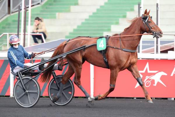 Photo de LOVE GLORY cheval de TROT ATTELE