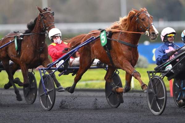 La photo de Kamehameha 