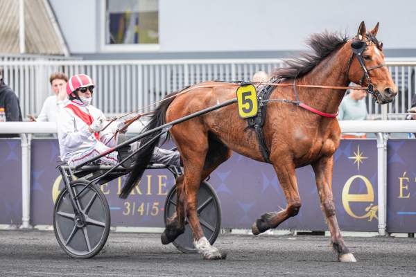 Photo de KEY LADY cheval de TROT ATTELE