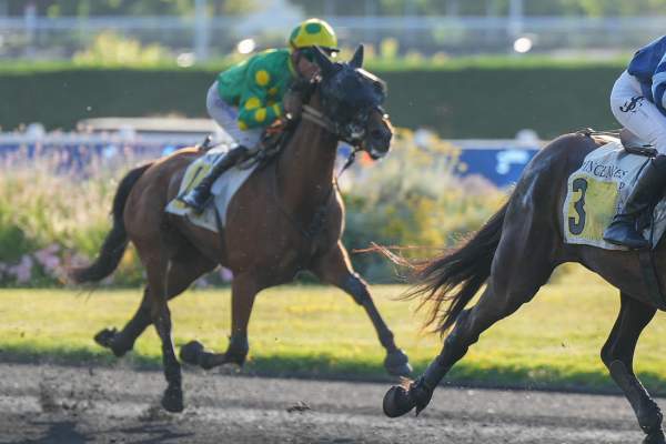 La photo de Mallaury D'avel 