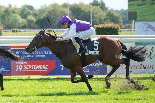 Photo de LIGHT L'AUDRIELLE cheval de PLAT