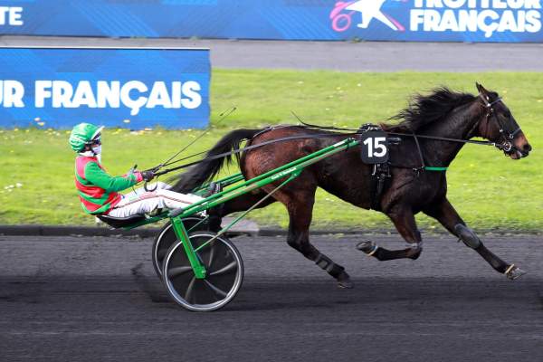 La photo de Merry De Malabry 