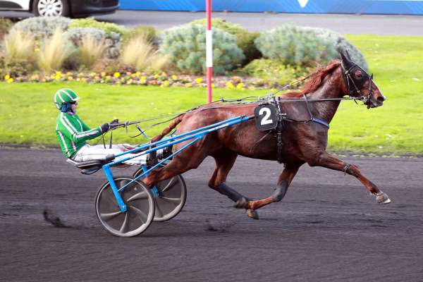 Photo de MA AM CHENU cheval de TROT ATTELE