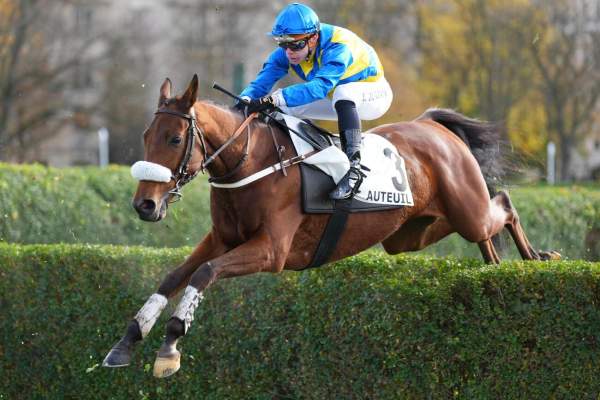 Photo de KAPPA D'ESTRUVAL cheval de STEEPLE CHASE