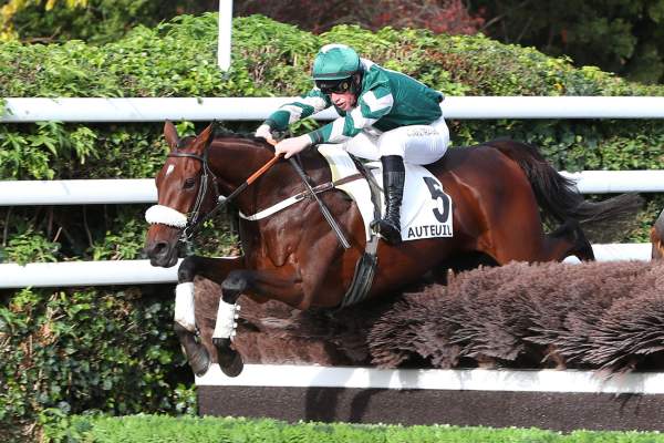 Photo de SPES MILICLO cheval de STEEPLE CHASE