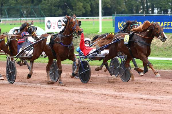La photo de Kamehameha Arrivée Quinté+ Pmu Grand National Du Trot à NANTES
