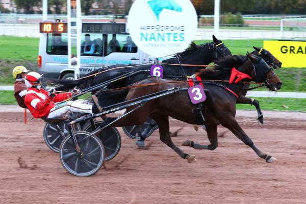 La photo de Joyau Du Gressy 