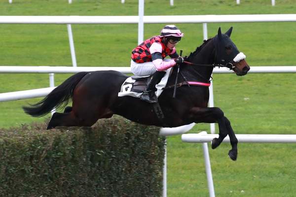 Photo de PARISIMIX cheval de STEEPLE CHASE