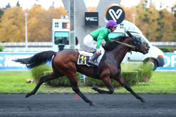 Photo de LIONHEART cheval de TROT MONTE