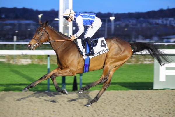Photo de YULIA cheval de PLAT