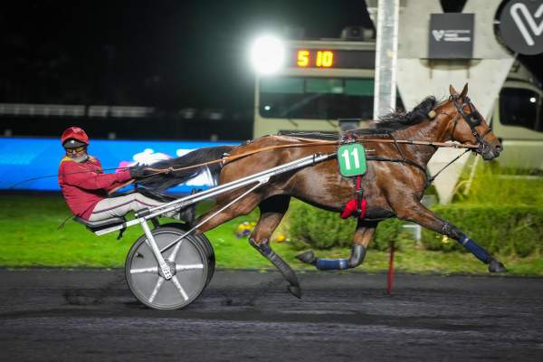 Photo de MAKE YOUR DAY cheval de TROT ATTELE