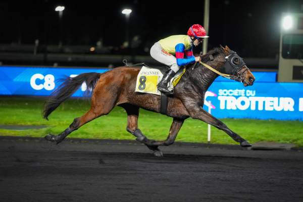 Photo de HOLLYWOOD GIRL cheval de TROT MONTE