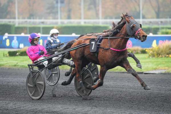 La photo de Mambo De Jaudrais 