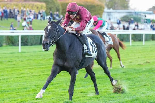 Photo de MOON CLOUD cheval de PLAT