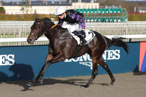 Photo de OCEAN STAR cheval de PLAT