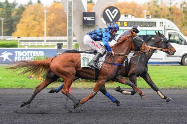 Photo de LA SCUPICCIA cheval de TROT MONTE