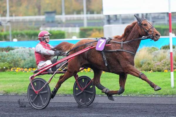 Photo de LUNA DE JOUDES cheval de TROT ATTELE