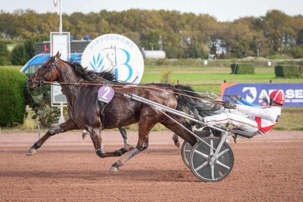 Photo de MISTRAL JENILOU cheval de TROT ATTELE