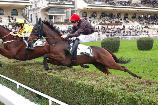 Photo de NADOR cheval de STEEPLE CHASE