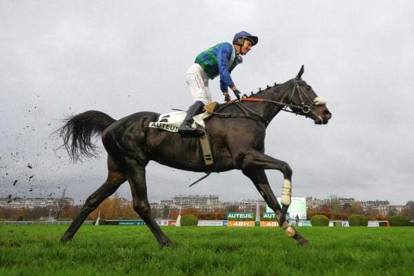 La photo de Losange Bleu Arrivée PMU Prix Serge Landon - Grand Prix d'Automne 2025 à Auteuil