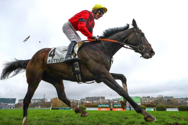 La photo de Leopard Du Berlais Arrivée PMU Prix Cambacérès - Grande Course de Haies des 3 ans 2025 à Auteuil