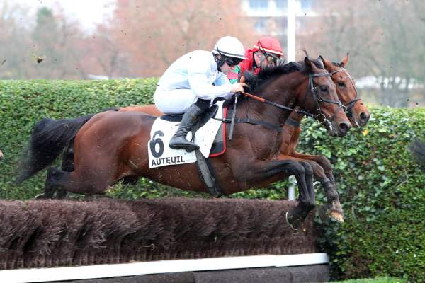 Photo de GUADALQUIVIR cheval de HAIES