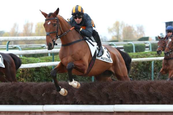 Photo de ILLUSION MACHINE cheval de HAIES