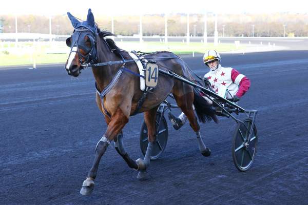 Photo de KLASSIKA DIDALO cheval de TROT ATTELE