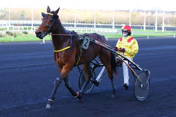 Photo de KIVAOA DU PERCHE cheval de TROT ATTELE