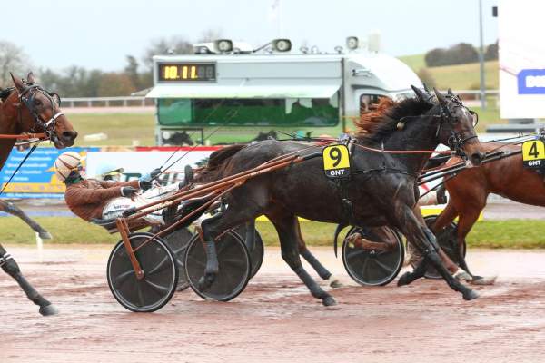 La photo de Harley Gema Arrivée Quinté+ Pmu Prix Jacques Brion - Grand National Du Trot à MAUQUENCHY