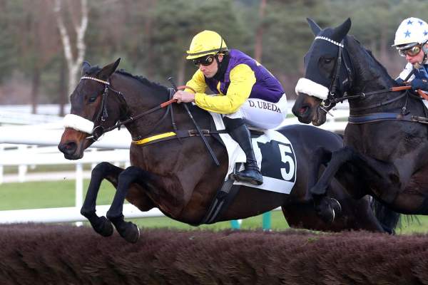 Photo de LADY DI LA COLMINE cheval de HAIES