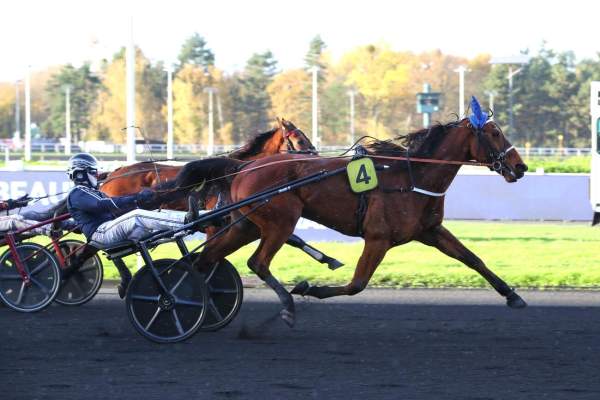 Photo de LIKE MESLOIS cheval de TROT ATTELE