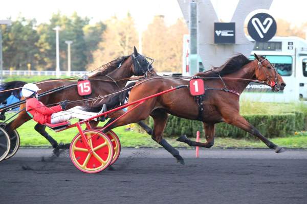 Photo de OMERTA BOKO cheval de TROT ATTELE