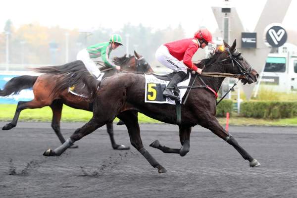 Photo de KEENGAME cheval de TROT MONTE