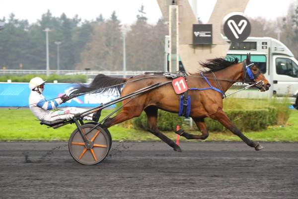 Photo de LAMBADA GIRL cheval de TROT ATTELE