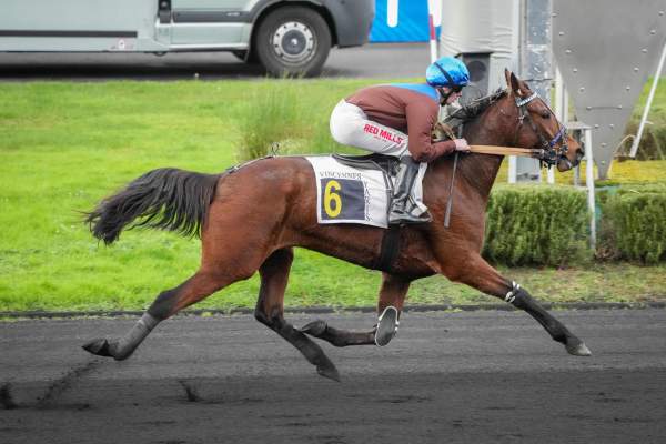 Photo de LIBERTA DEL PHEDO cheval de TROT MONTE