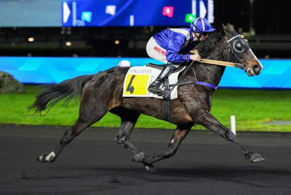 Photo de KOREA cheval de TROT MONTE