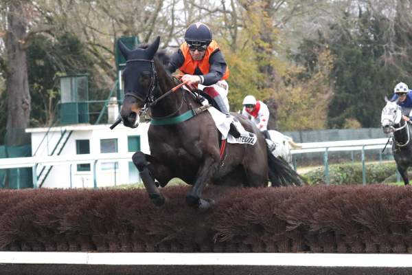 Photo de STORM DES FLOS cheval de HAIES