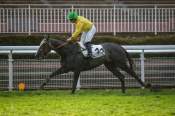 La photo de Dino Style arrivée pmu Prix Tournay à Auteuil