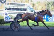 La photo de Jaflosa Girl arrivée Quinté+ pmu Prix de Brassac les Mines à Vincennes